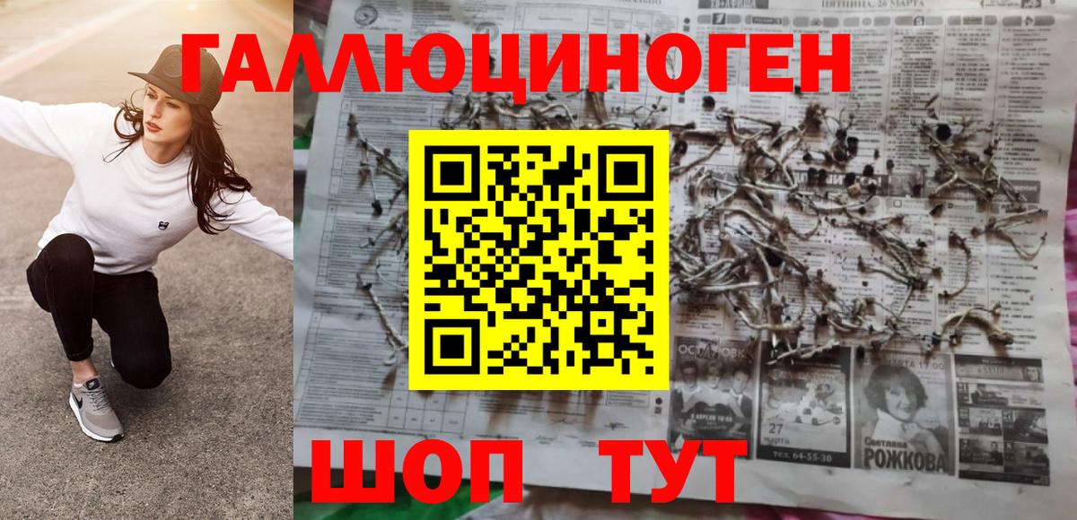 Псилоцибиновые грибы Cubensis Бугульма
