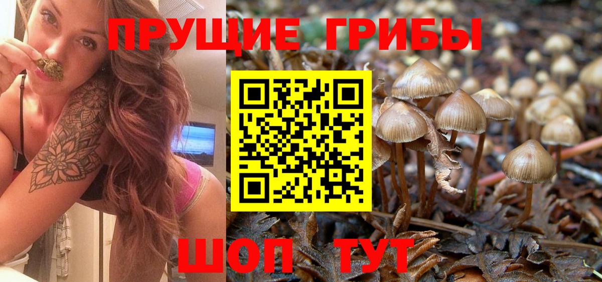 Галлюциногенные грибы прущие грибы  Галлюциногенные грибы MAGIC MUSHROOMS  Бугульма  Вход с VPN 